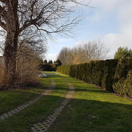 Ruegenherz Piratenhaus Parchtitz Exteriör bild